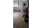 5-Familienhaus inkl. Penthaus -Wohnung mit Gewerbehalle