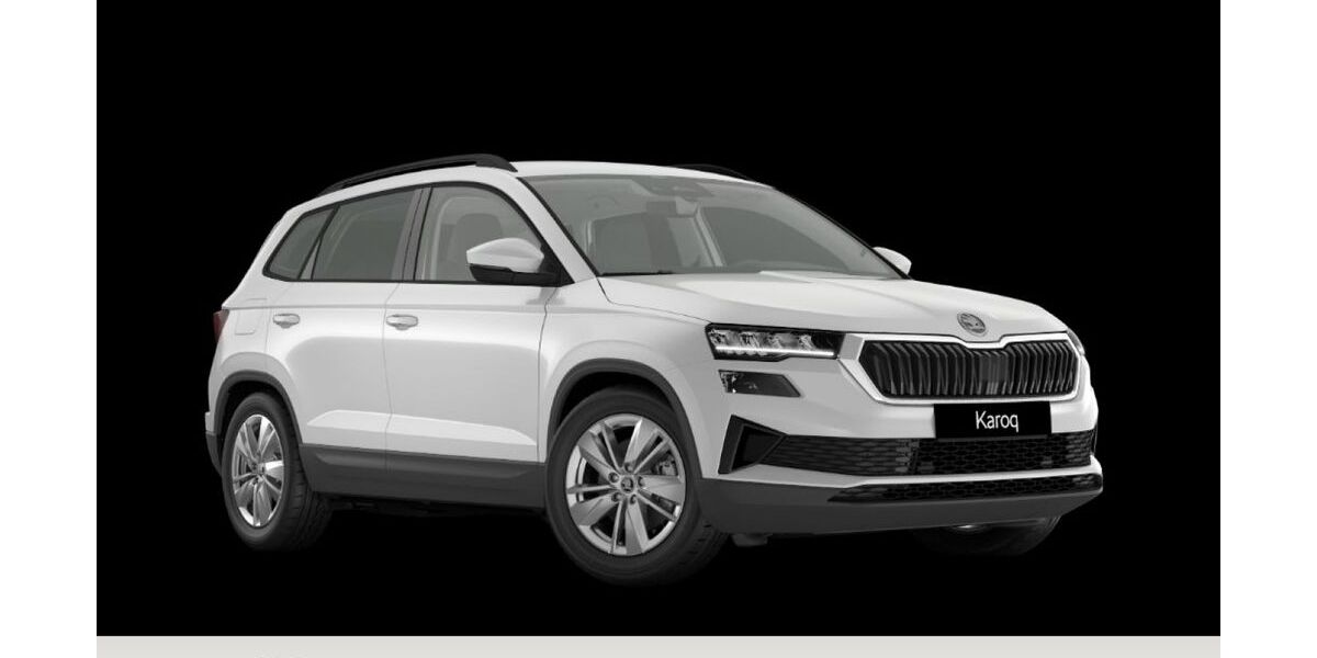Skoda Karoq 3.000 km 34.970 &euro; Osterode 37520