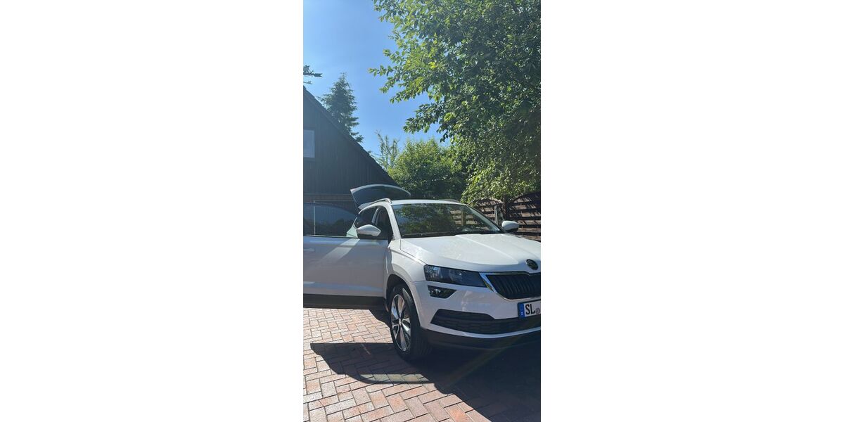 Skoda Karoq 117.000 km 19.300 &euro; Eggebek 24852