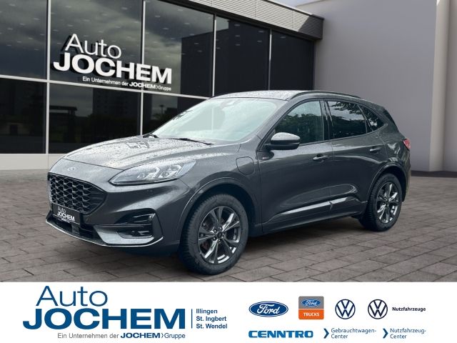 Kuga