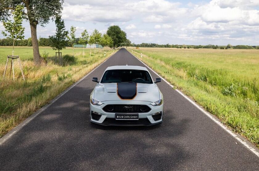 Mustang