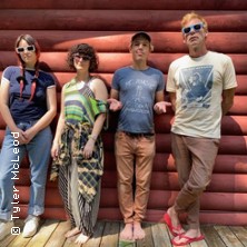 Jeffrey Lewis & The Voltage