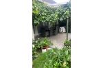 Einfamilienhaus Lauchheim - 4.5 Zimmer, 130 m&sup2;, 450.000&euro; | Angebot:26719385