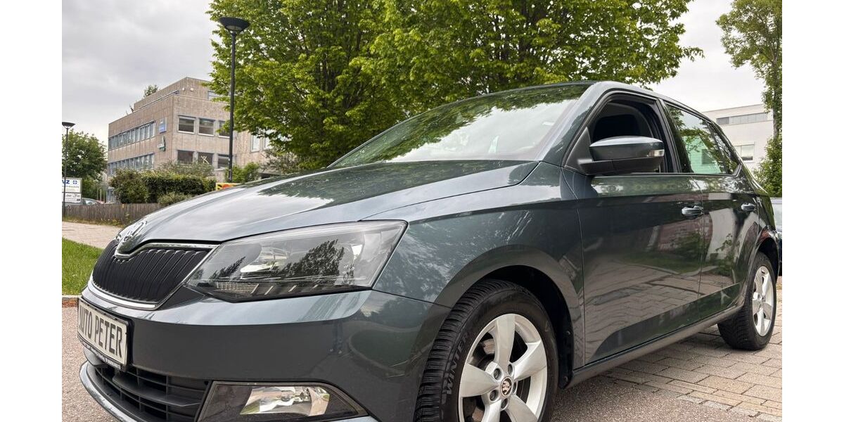 Skoda Fabia 125.000 km 6.990 &euro; Riemerling 85521