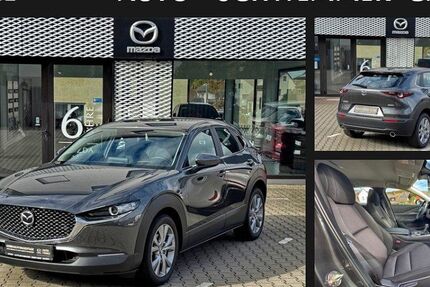Mazda CX-30 21.636 km 24.490 € Leinburg 91227