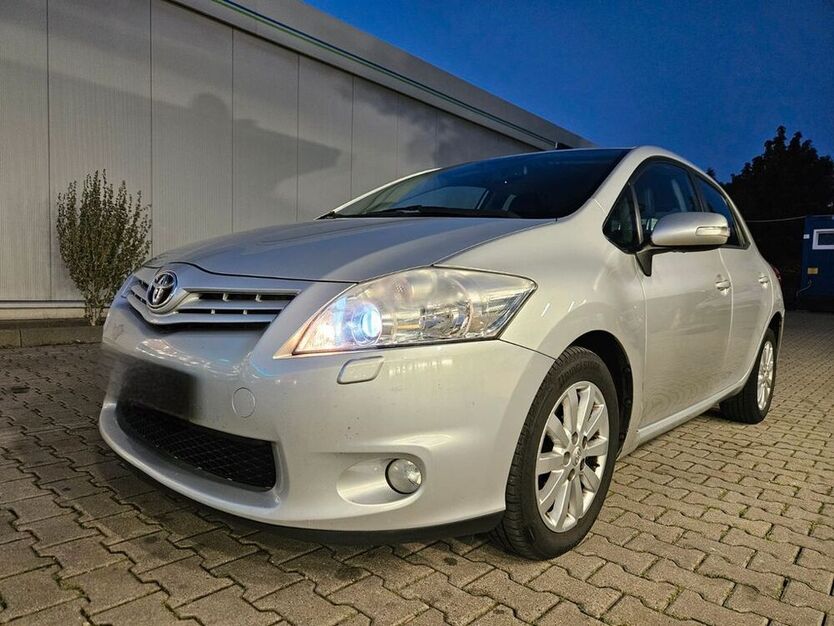 Auris