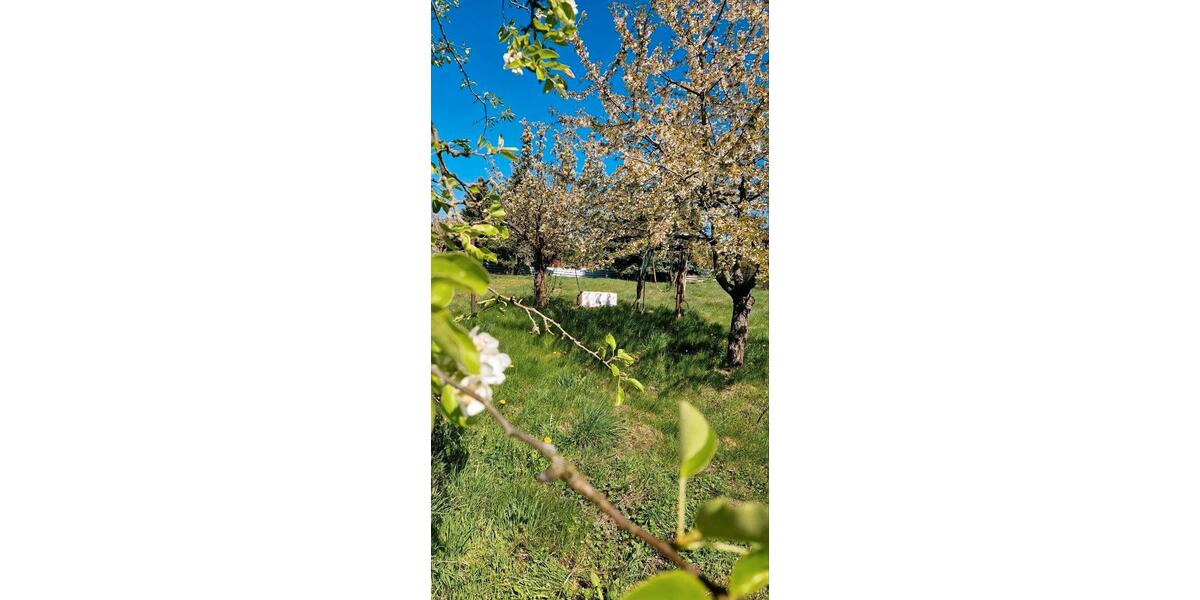 Einfamilienhaus Jessen (Elster) - 4 Zimmer, 100 m&sup2;, 69.000&euro; | Angebot:21616697