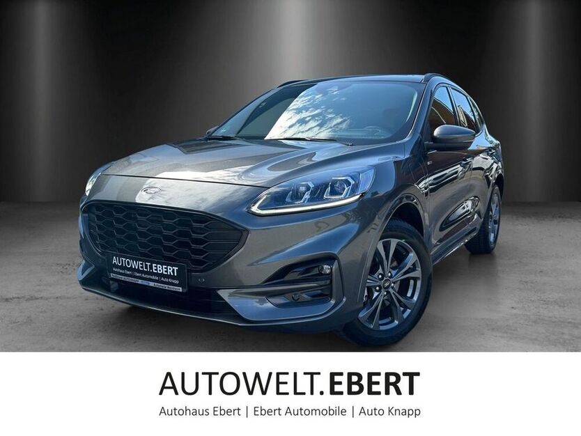 Kuga
