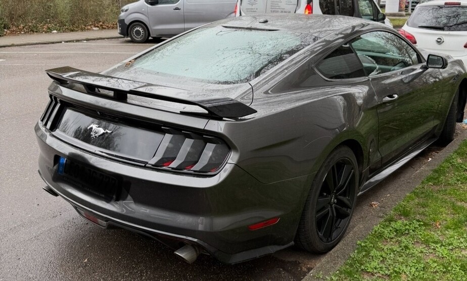 Mustang