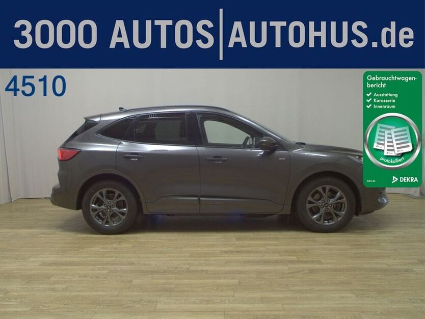 Kuga