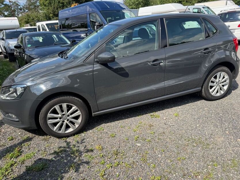 Polo