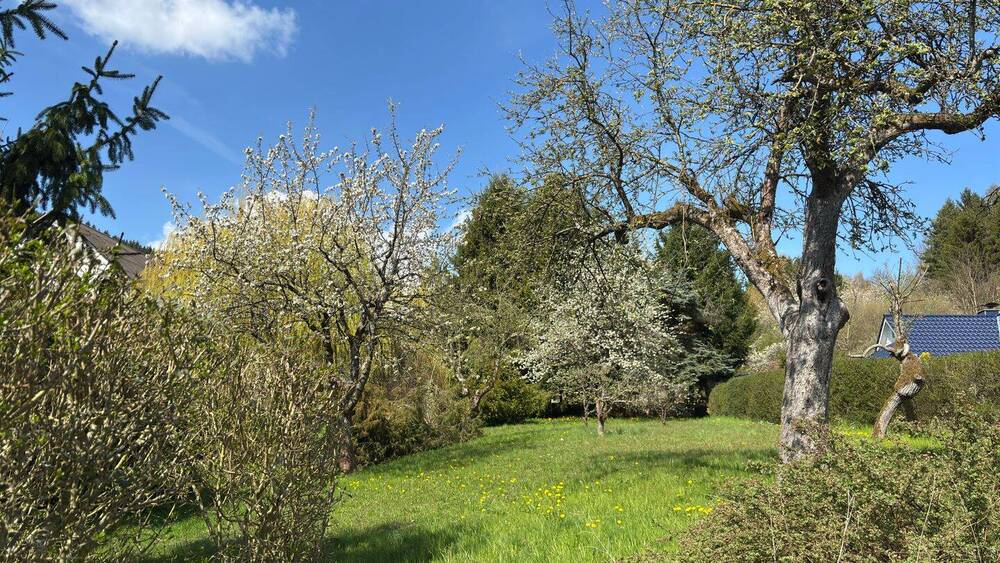 Mehrfamilienhaus, Wohnhaus Geratal OT Geraberg Geraberg - 9 Zimmer, 234 m&sup2;, 158.000&euro; | Angebot:26277481