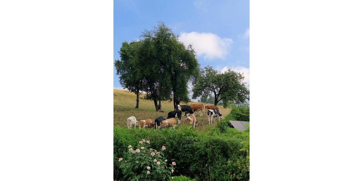 Einfamilienhaus Engelskirchen - 7 Zimmer, 214 m&sup2;, 745.000&euro; | Angebot:25220347