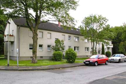 Wohnung Duisburg Huckingen - 2 Zimmer, 42 m&sup2;, 409&euro; | Angebot:27352331