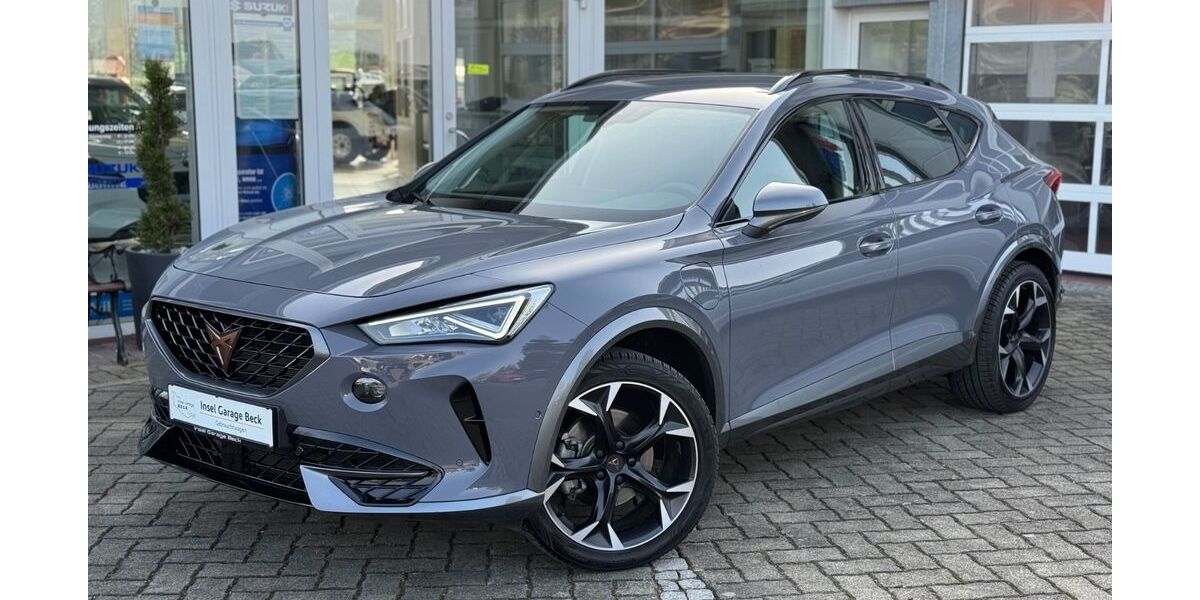 Cupra Formentor 16.890 km 24.250 &euro; Reichenau 78479