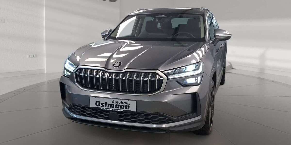 Skoda Kodiaq 1.500 km 46.489 &euro; Wolfhagen 34466