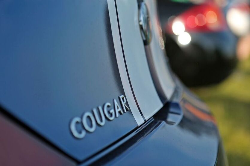 Cougar
