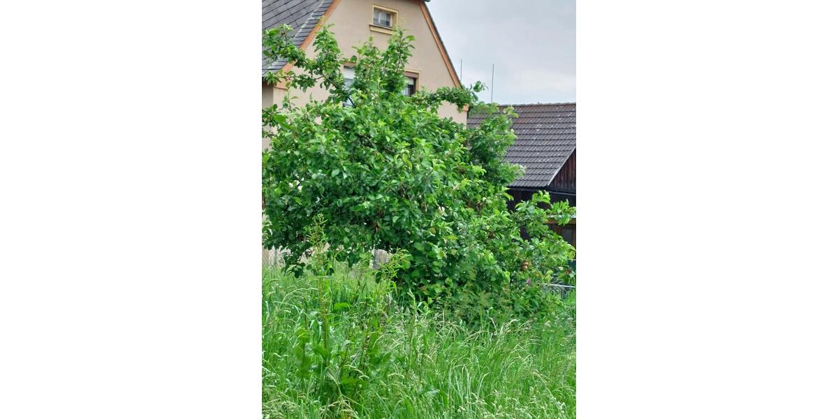 Einfamilienhaus Marktredwitz - 8 Zimmer, 235.000&euro; | Angebot:22131562