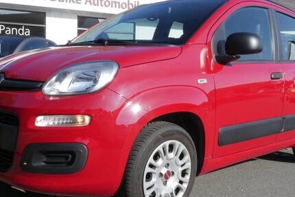 Fiat Panda 124.210 km 4.990 € Steinheim 32839