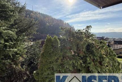 Frisch sanierte Wohnung mit Ausblick und stadtnaher Lage 3 zimmer