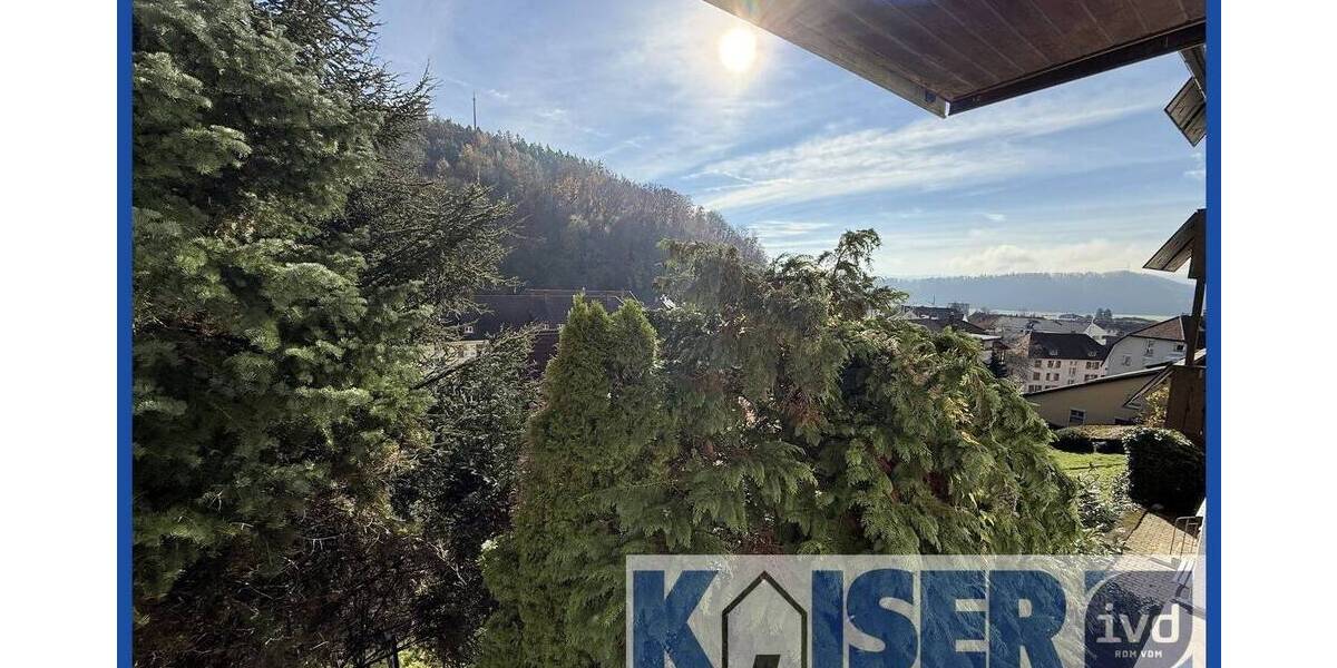 Frisch sanierte Wohnung mit Ausblick und stadtnaher Lage 3 zimmer