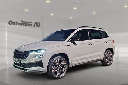 Skoda Karoq 3.000 km 48.440 &euro; Bad Arolsen 34454