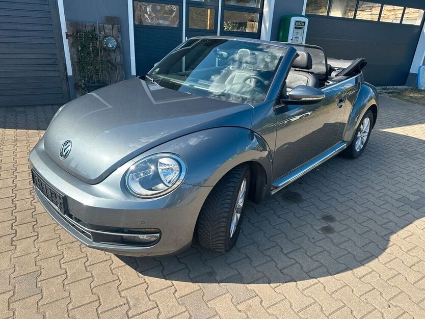Beetle