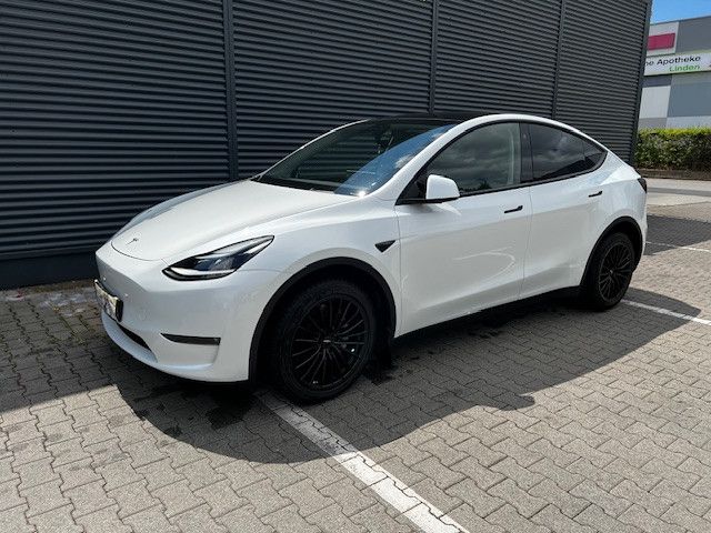 Model Y