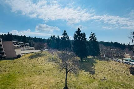 Wohnung Sankt Englmar - 2 Zimmer, 52 m&sup2;, 74.000&euro; | Angebot:26066715