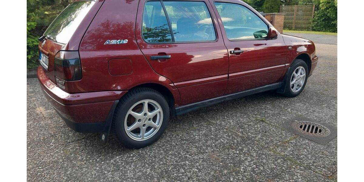 VW Golf 132.684 km 3.500 &euro; Gifhorn 38518
