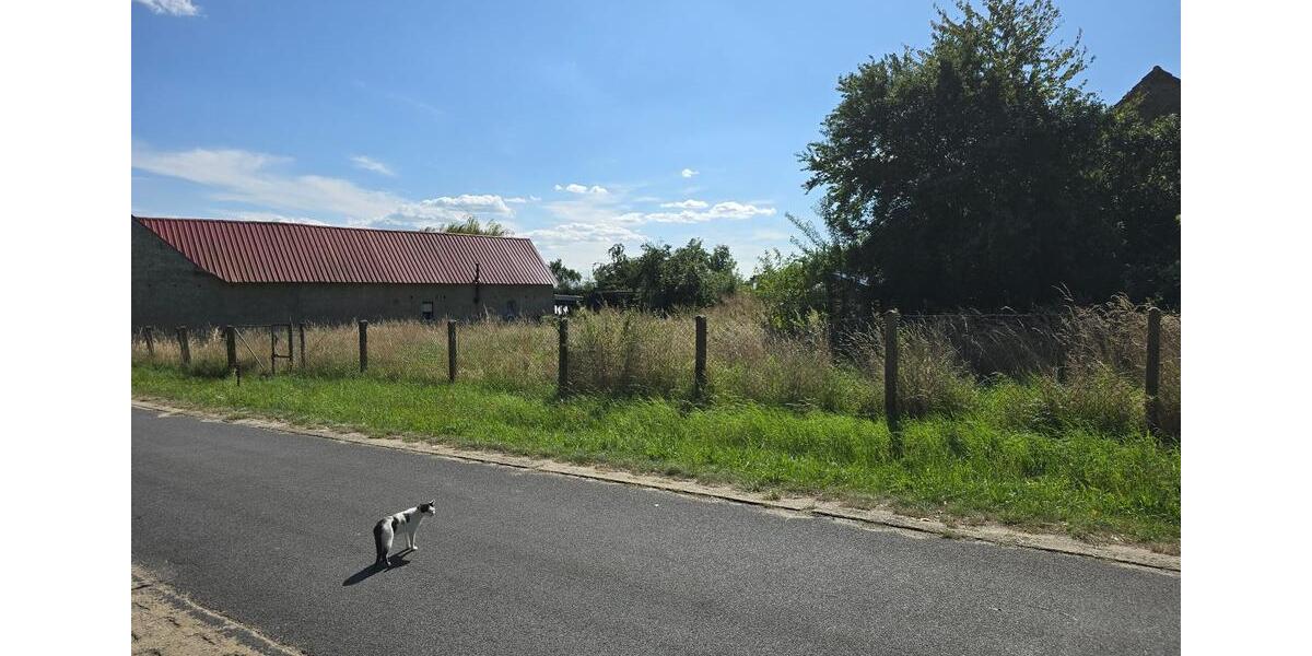 Bauernhaus, Landhaus Doberlug-Kirchhain Kirchhain - 3 Zimmer, 95 m&sup2;, 100.999&euro; | Angebot:25793987