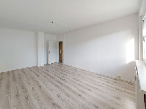 Erdgeschoßwohnung Neuhausen/Erzgebirge Erzgebirge - 1 Zimmer, 35 m&sup2;, 174&euro; | Angebot:15770896