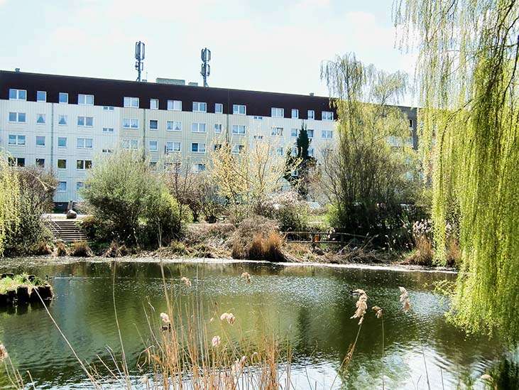 Wohnung zum Mieten in Prenzlau 620 € 92.07 m² 4 zimmer