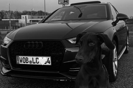 Audi A4 180.000 km 16.200 &euro; Albstadt 72461