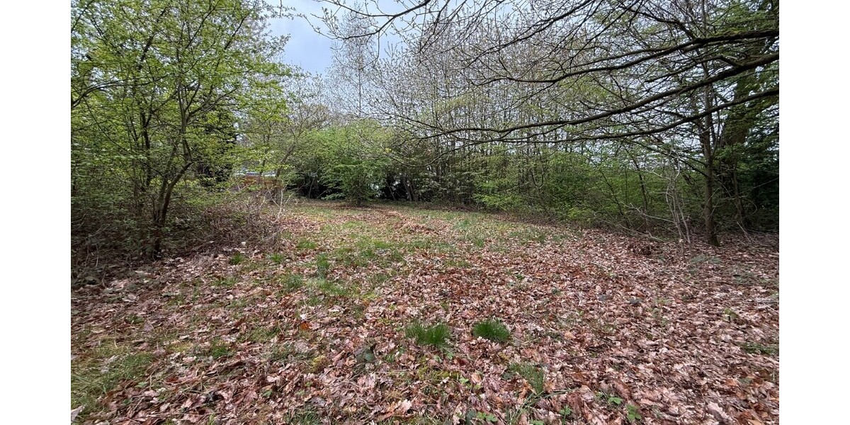 Kelkheim: Hier erfüllen Sie Ihren Traum! Idyllisches Grundstück im Wochenendgebiet - Grundstück Kelkheim | Angebot:26134206