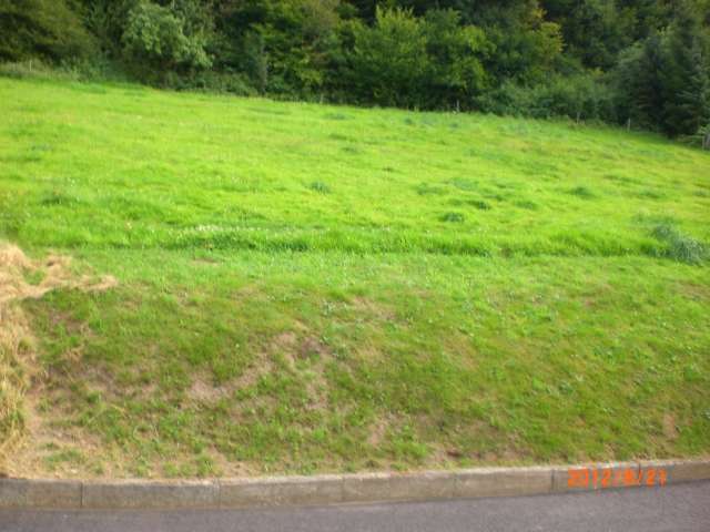 Grundstück Knüllwald-Appenfeld Appenfeld - 19.500&euro; | Angebot:22643440