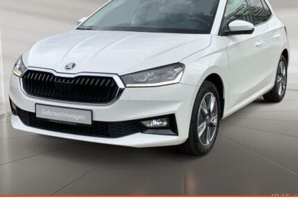 Skoda Fabia 47.507 km 18.490 &euro; Kirchheim 73230