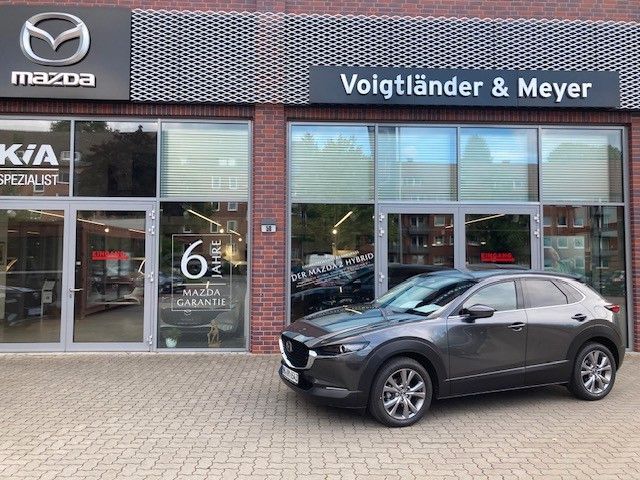 CX-30