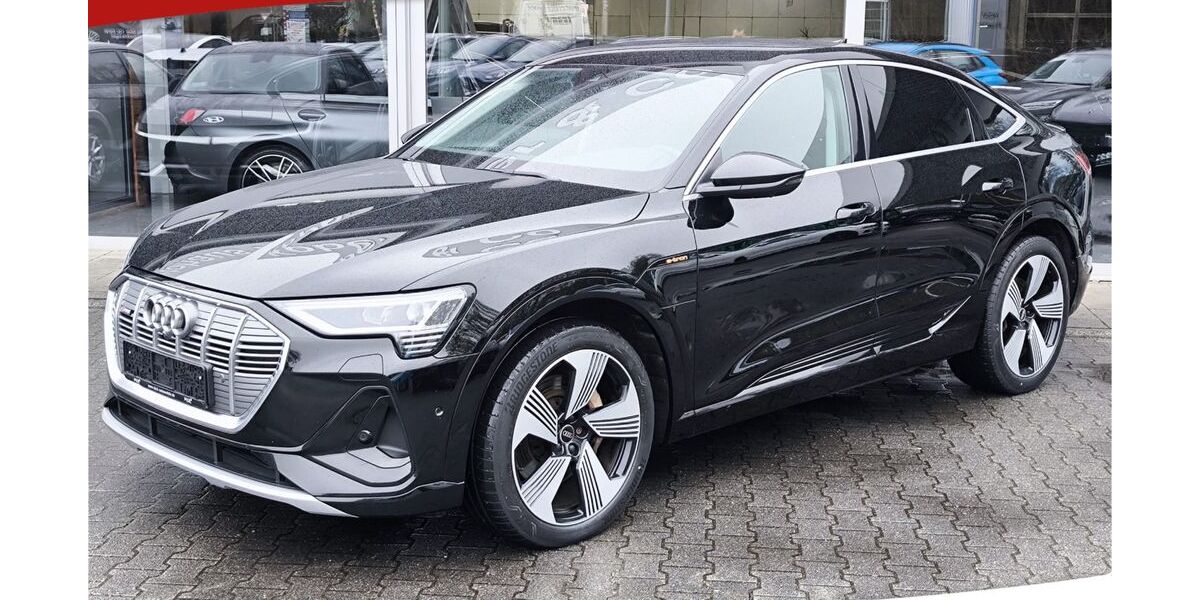 Audi e-tron 97.500 km 22.950 &euro; Dieburg 64807