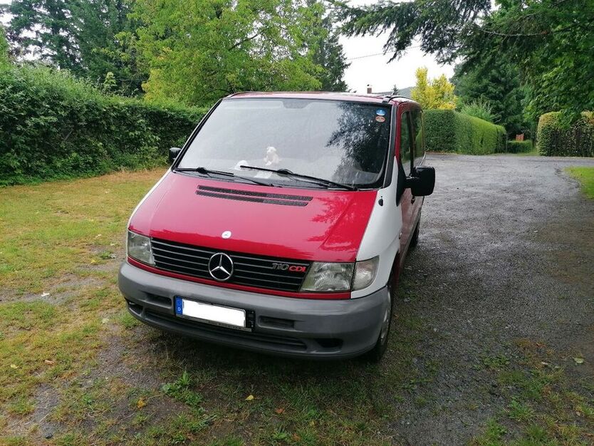 Vito