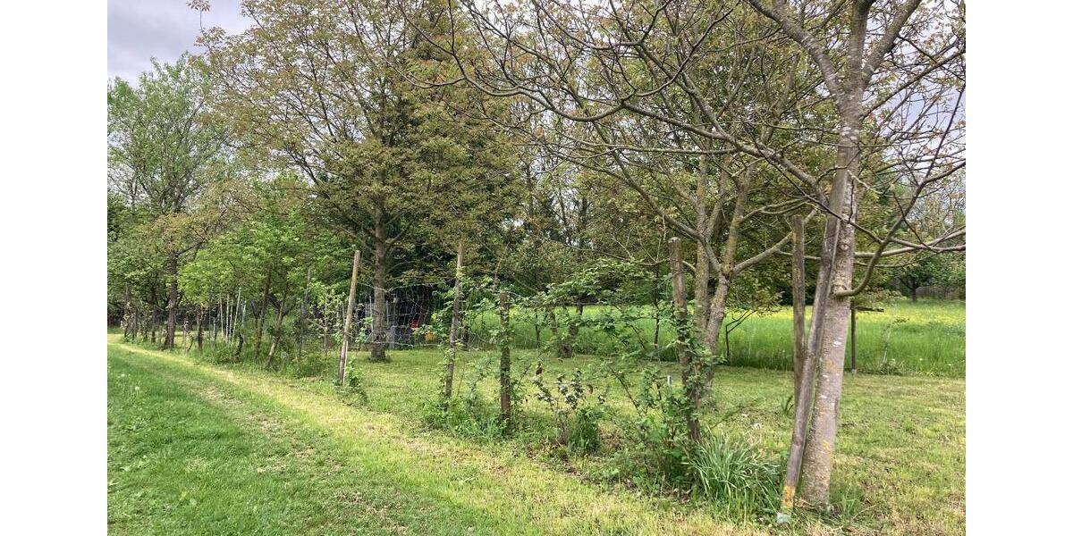 Grundstück Kirchheim unter Teck - 25.000&euro; | Angebot:24998432