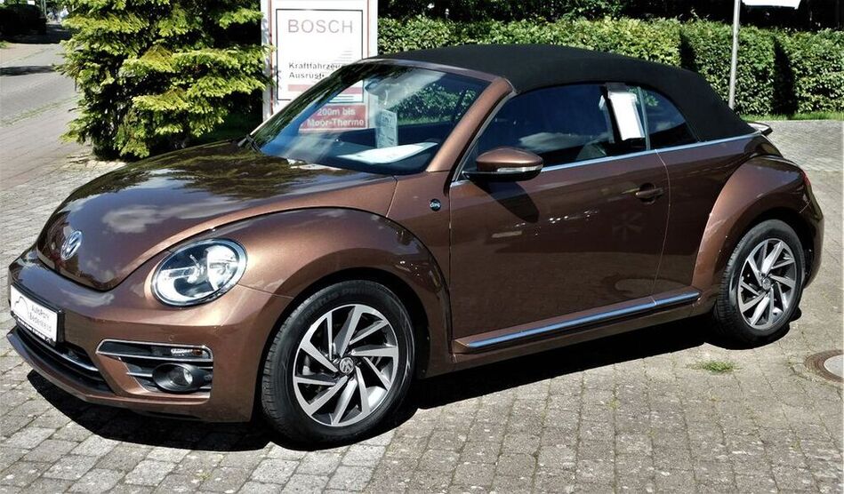 Beetle