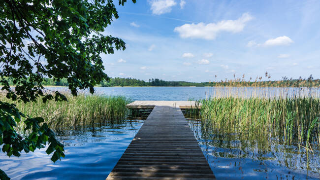 Vollständig saniertes Gästehaus in einzigartiger Wasserlage an der Müritz eigener Bootsanleger zimmer