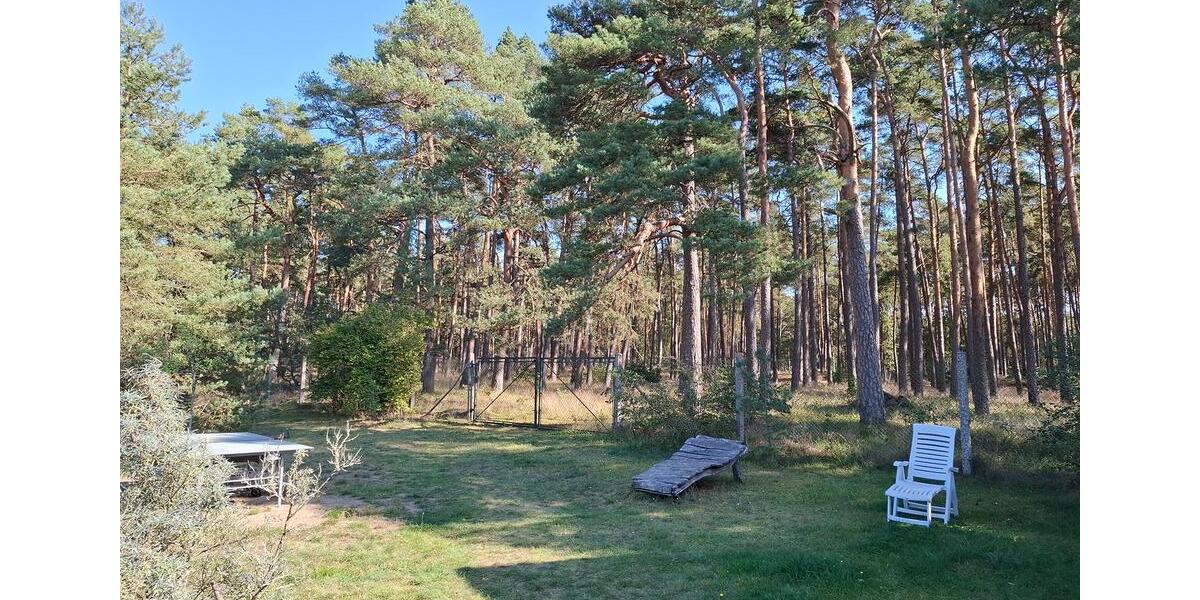 Einfamilienhaus Dömitz - 249.000&euro; | Angebot:26820100