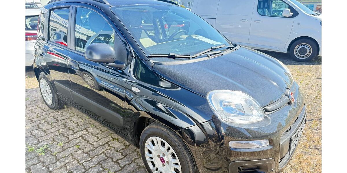 Fiat Panda 160.000 km 3.600 &euro; Garbsen 30827