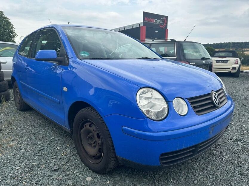 Polo