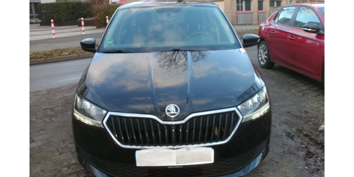 Skoda Fabia 100.000 km 9.786 &euro; Mainz 55116