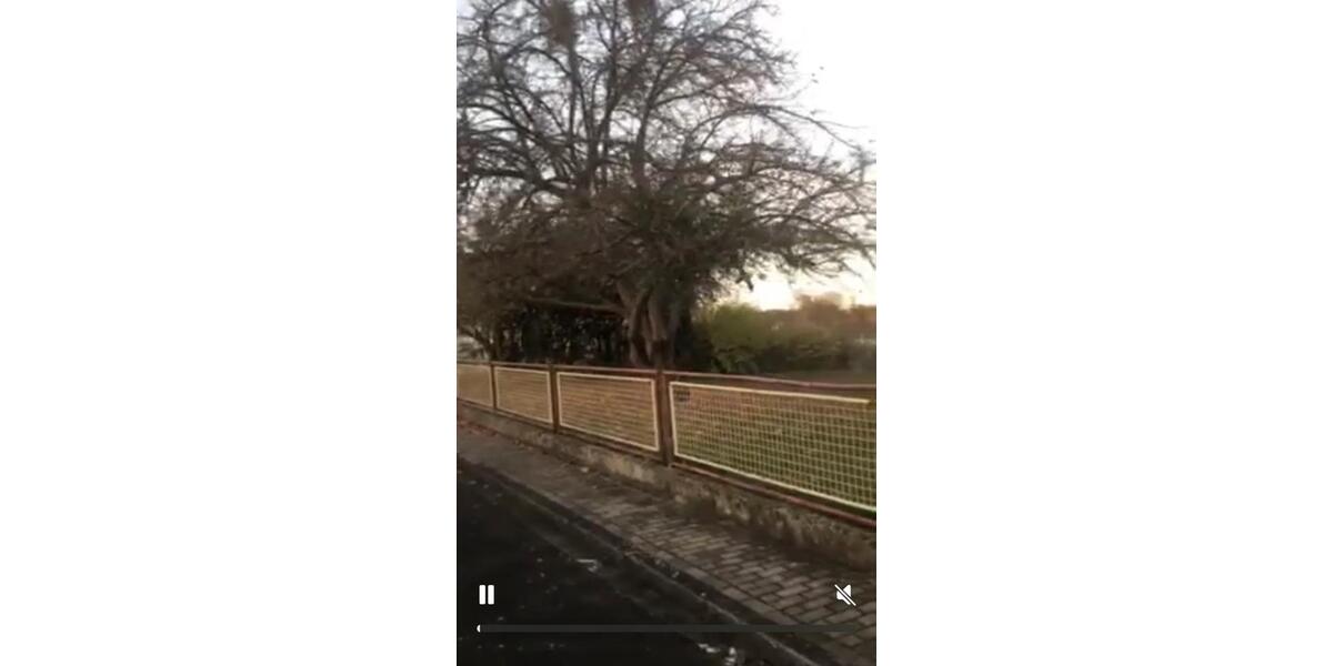 Doppelhaushälfte Borken (Hessen) - 10 Zimmer, 230 m&sup2;, 210.000&euro; | Angebot:26146322