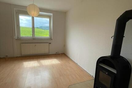 lichtdurchflutete 2-RaumWohnung mit Kamin, EBK in Schalkau