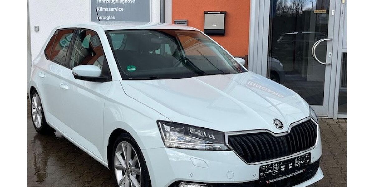 Skoda Fabia 76.599 km 11.989 &euro; Dannenberg 29451